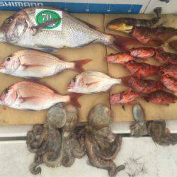 末広丸(熊本) 釣果