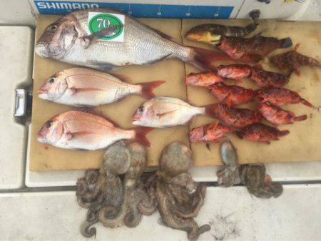 末広丸(熊本) 釣果