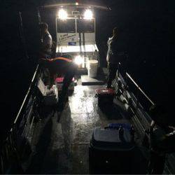 第二 海洋丸 釣果