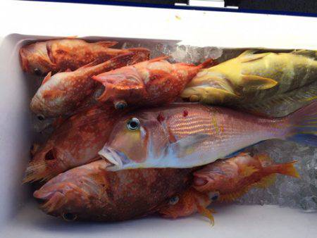 第二龍勢丸 釣果