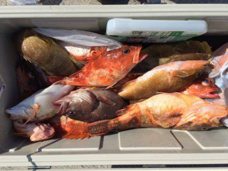 第二龍勢丸 釣果