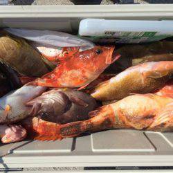 第二龍勢丸 釣果