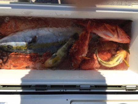 第二龍勢丸 釣果