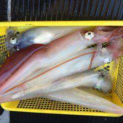 第二龍勢丸 釣果