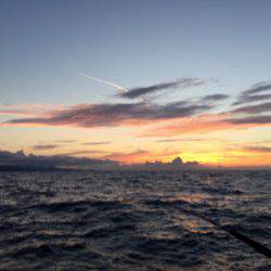 第二龍勢丸 釣果