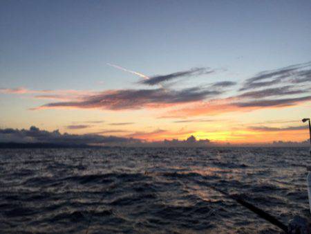 第二龍勢丸 釣果