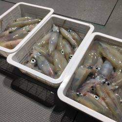 ＴＡＲＯＭＡＲＵ 釣果