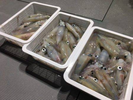 ＴＡＲＯＭＡＲＵ 釣果