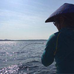 「LaGooN」蒼陽丸 日和号 釣果