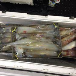 第二龍勢丸 釣果