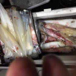 第二龍勢丸 釣果