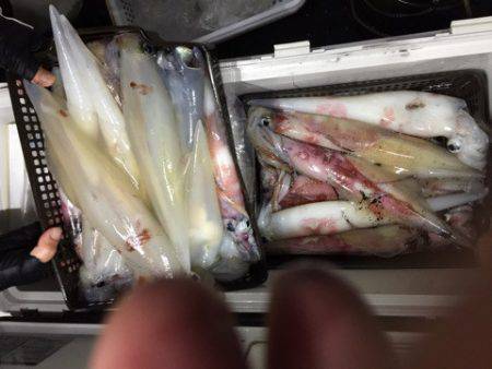 第二龍勢丸 釣果