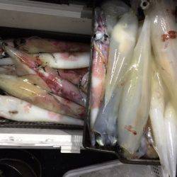 第二龍勢丸 釣果