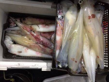 第二龍勢丸 釣果