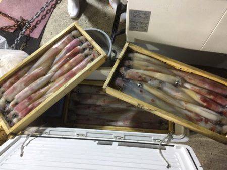 第二龍勢丸 釣果