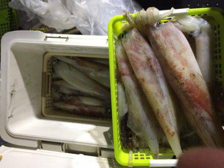 第二龍勢丸 釣果