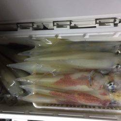 第二龍勢丸 釣果