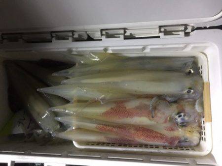 第二龍勢丸 釣果