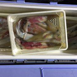 第二龍勢丸 釣果