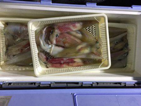 第二龍勢丸 釣果