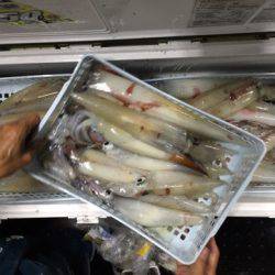 第二龍勢丸 釣果