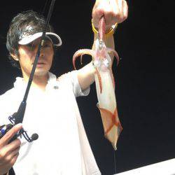 ＴＡＲＯＭＡＲＵ 釣果