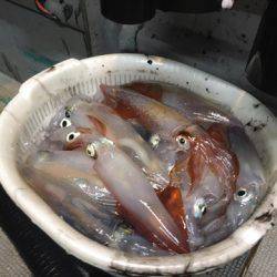 ＴＡＲＯＭＡＲＵ 釣果