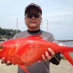 晃山丸 釣果