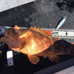 第二龍勢丸 釣果