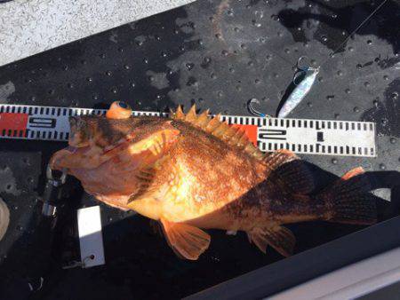 第二龍勢丸 釣果