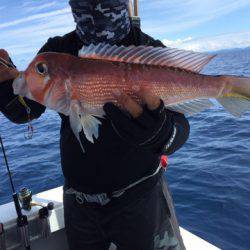 第二龍勢丸 釣果