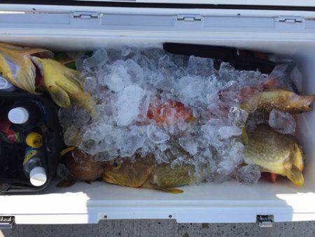 第二龍勢丸 釣果