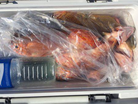 第二龍勢丸 釣果