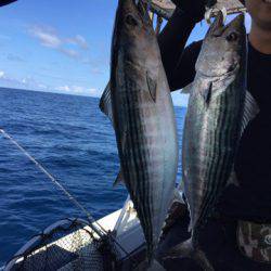 第二龍勢丸 釣果