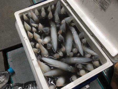 ＴＡＲＯＭＡＲＵ 釣果