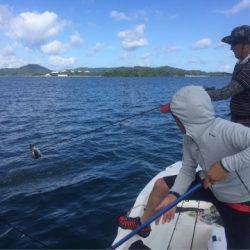 「LaGooN」蒼陽丸 日和号 釣果