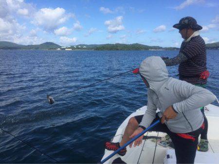 「LaGooN」蒼陽丸 日和号 釣果