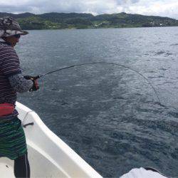 「LaGooN」蒼陽丸 日和号 釣果