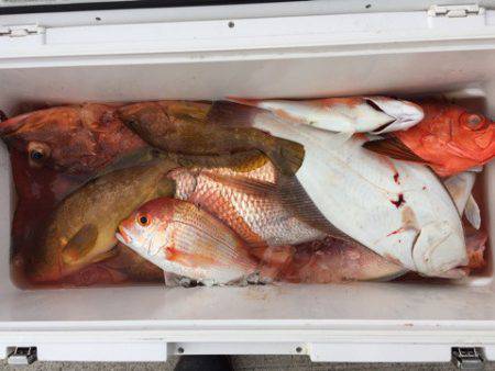 第二龍勢丸 釣果