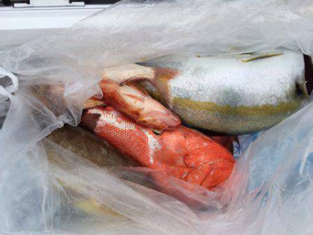 第二龍勢丸 釣果