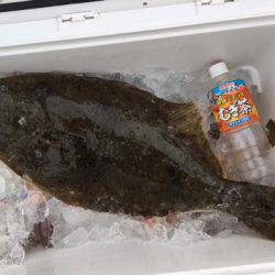 第二龍勢丸 釣果