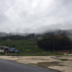 「LaGooN」蒼陽丸 日和号 釣果