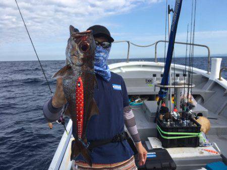 ＴＡＲＯＭＡＲＵ 釣果