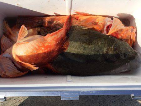 第二龍勢丸 釣果