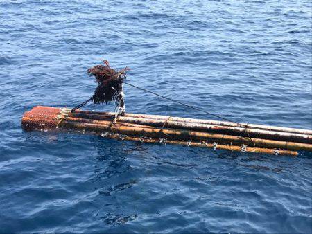 まるいち丸 ZERO-1 釣果