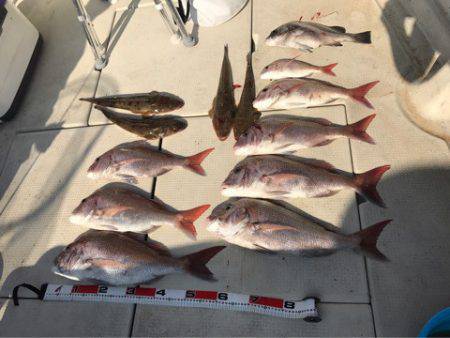 遊漁船メテオ 釣果