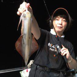 ＴＡＲＯＭＡＲＵ 釣果