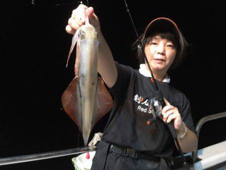 ＴＡＲＯＭＡＲＵ 釣果