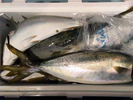 第二八坂丸 釣果