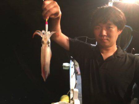 ＴＡＲＯＭＡＲＵ 釣果